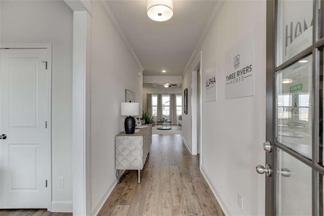 corridor featuring ornamental molding and light hardwood / wood-style flooring