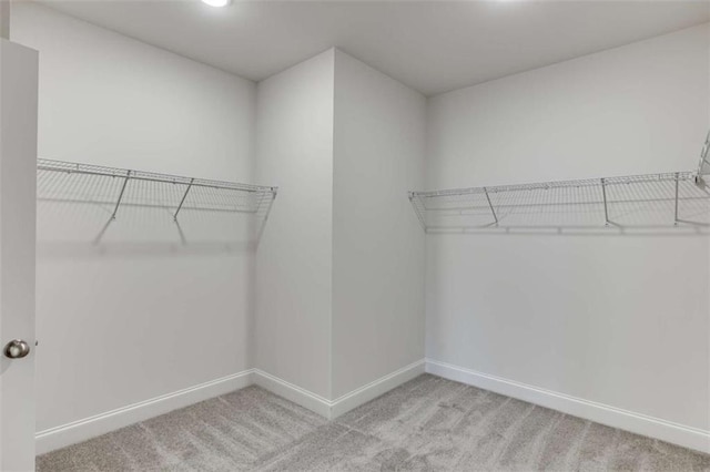 spacious closet with light colored carpet