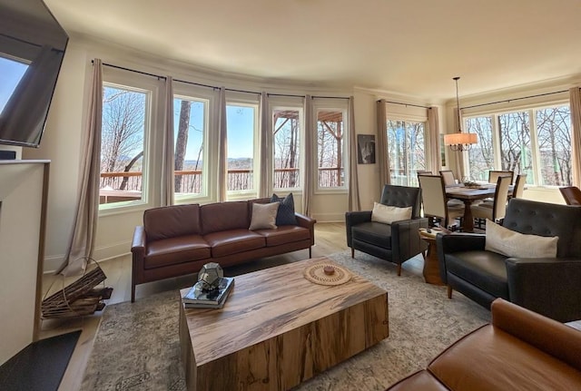 6 Huntington Pl, Dahlonega, GA 30533 - living room featuring healthy amount of natural light, light wood-style flooring, and baseboards
