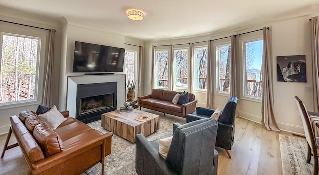 6 Huntington Pl, Dahlonega, GA 30533 - living area with healthy amount of natural light and light wood-style floors