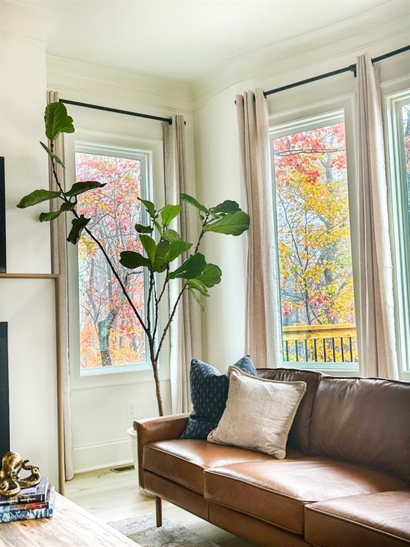 6 Huntington Pl, Dahlonega, GA 30533 - sitting room with plenty of natural light, wood finished floors, baseboards, and crown molding