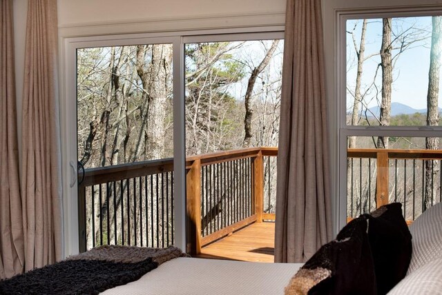 6 Huntington Pl, Dahlonega, GA 30533 - entryway with a mountain view