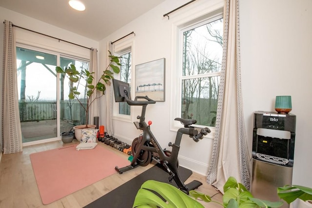 6 Huntington Pl, Dahlonega, GA 30533 - exercise room featuring baseboards and wood finished floors