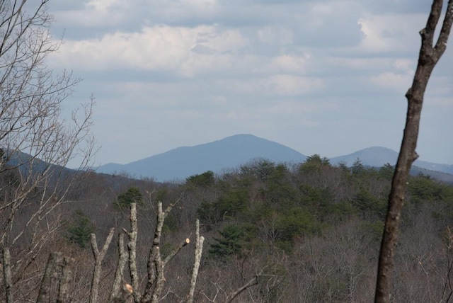 6 Huntington Pl, Dahlonega, GA 30533 - mountain view