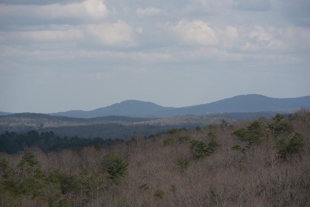 6 Huntington Pl, Dahlonega, GA 30533 - view of mountain backdrop with a heavily wooded area