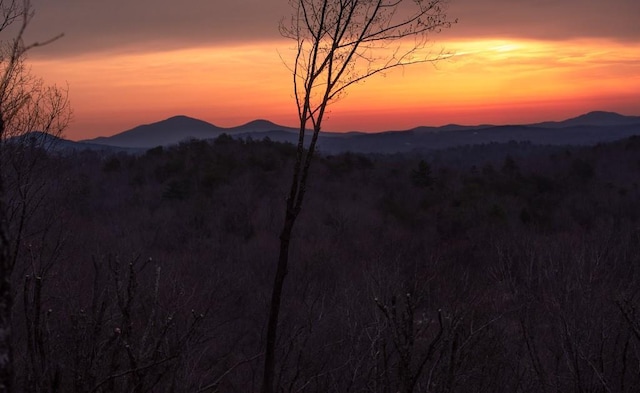 6 Huntington Pl, Dahlonega, GA 30533 - view of mountain backdrop featuring a heavily wooded area