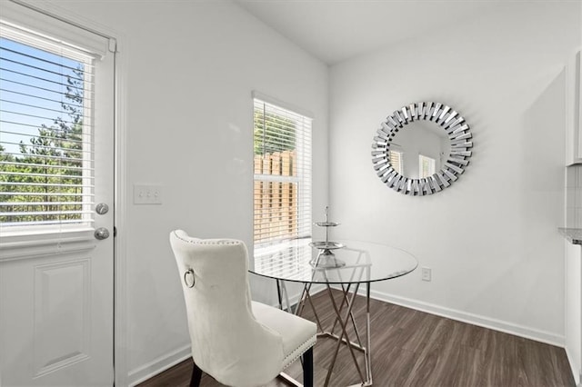 dining room featuring dark hardwood / wood-style flooring