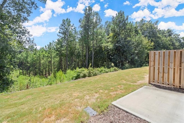 view of yard featuring a patio