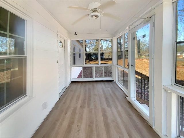 unfurnished sunroom featuring ceiling fan