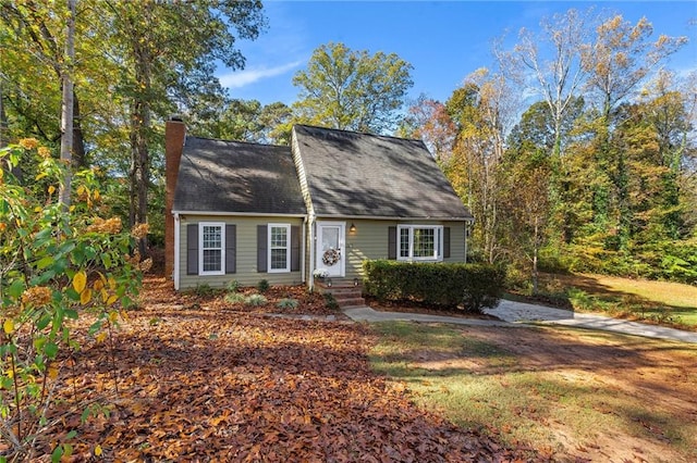 view of cape cod house