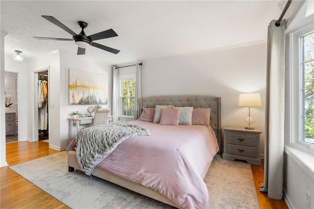 bedroom featuring multiple windows, a spacious closet, and light hardwood / wood-style flooring