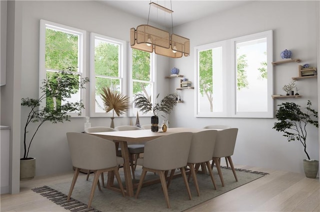 dining area with plenty of natural light and light hardwood / wood-style flooring