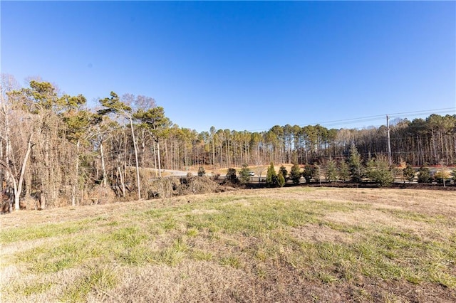 view of yard featuring a rural view