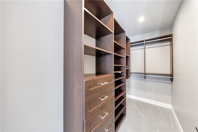 spacious closet with carpet