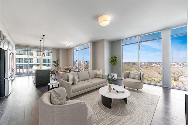 living room featuring floor to ceiling windows and dark wood-style flooring