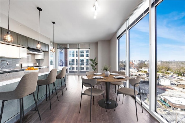 dining area featuring expansive windows, dark wood-style flooring, and plenty of natural light