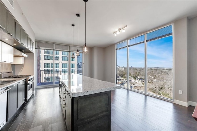 kitchen featuring dark wood-style flooring, a kitchen island, baseboards, appliances with stainless steel finishes, and floor to ceiling windows