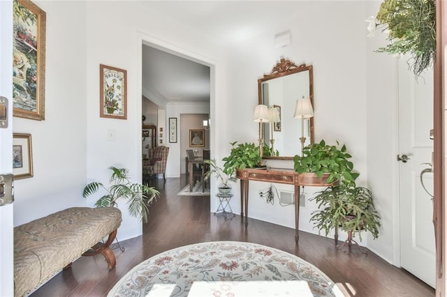 entrance foyer with dark hardwood / wood-style flooring and crown molding