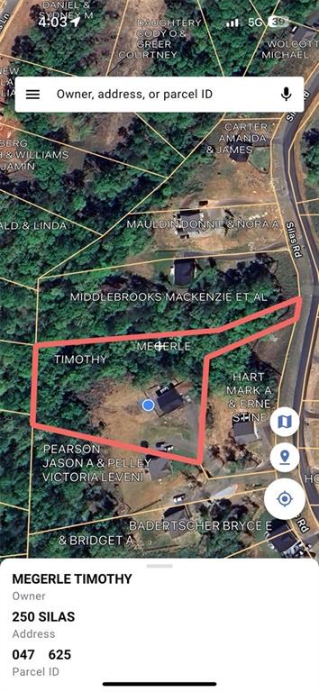 250 Silas Rd, Dahlonega, GA 30533 - aerial map of property and surrounding area