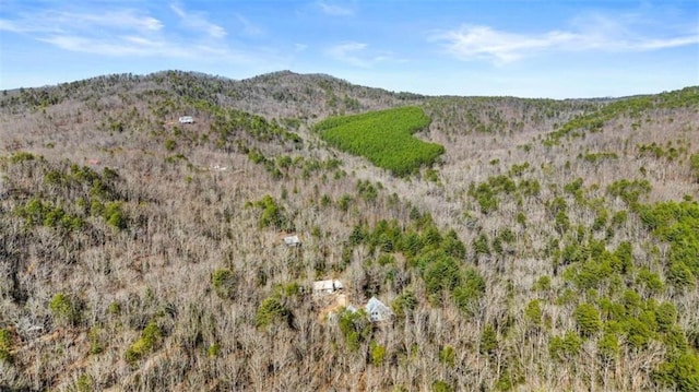 drone / aerial view with a mountain view