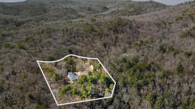 bird's eye view featuring a mountain view and a wooded view