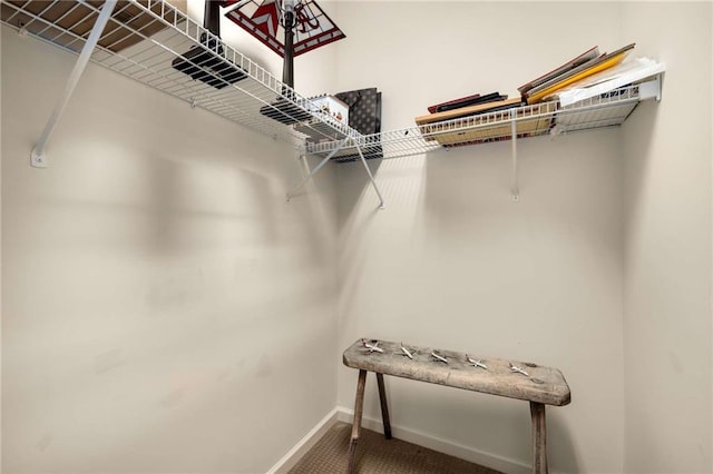 11271 Calypso Dr, Alpharetta, GA 30009 - walk in closet featuring carpet flooring