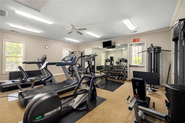 11271 Calypso Dr, Alpharetta, GA 30009 - workout area featuring ceiling fan and crown molding