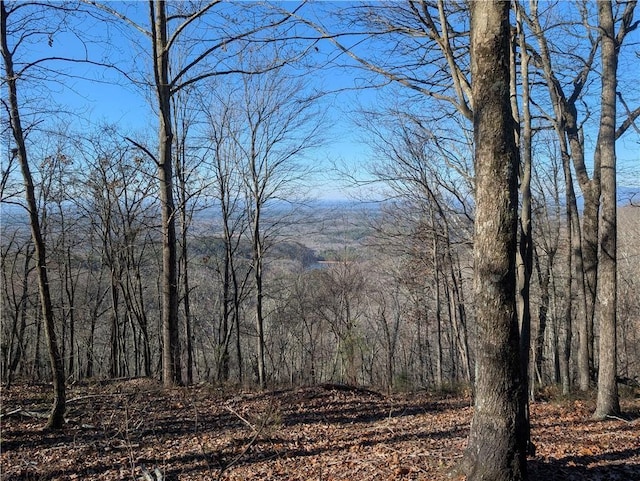 234 Stirratt Rd, Ranger, GA 30734