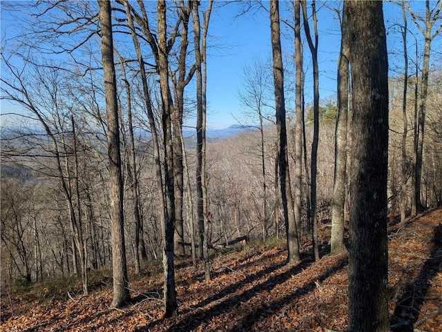 234 Stirratt Rd, Ranger, GA 30734