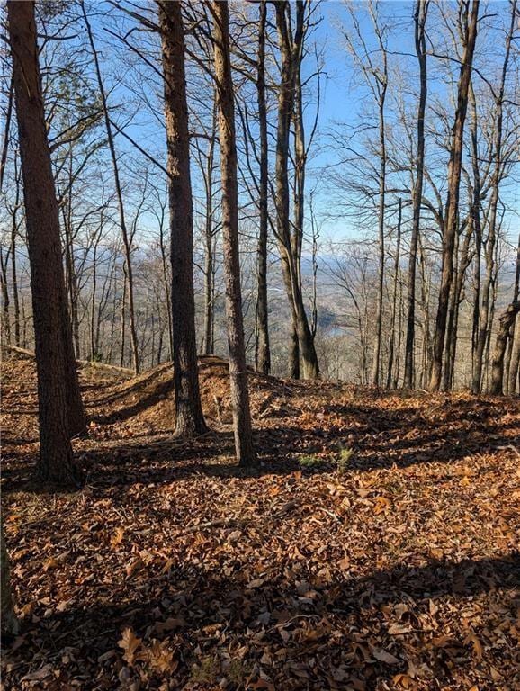 234 Stirratt Rd, Ranger, GA 30734