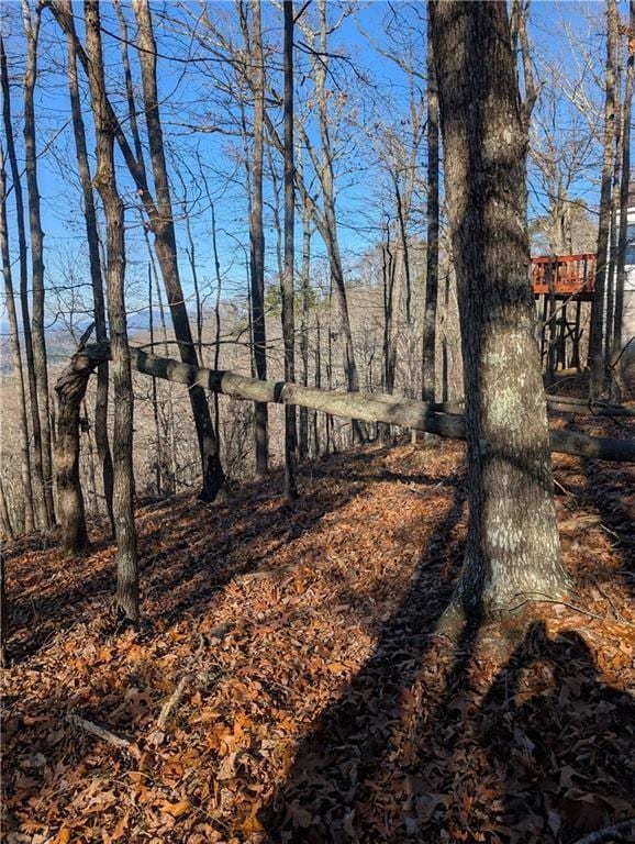 234 Stirratt Rd, Ranger, GA 30734