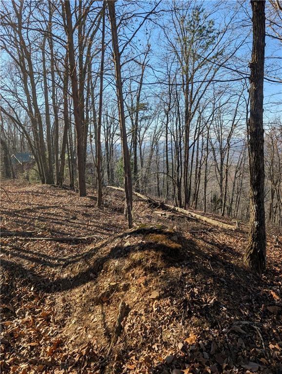 234 Stirratt Rd, Ranger, GA 30734