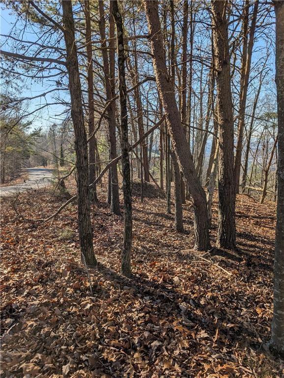 234 Stirratt Rd, Ranger, GA 30734