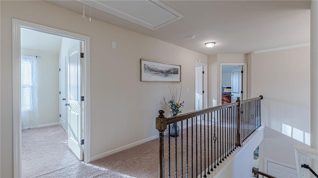 879 Tranquil Way, Hampton, GA 30228 - hall with attic access, an upstairs landing, and carpet flooring