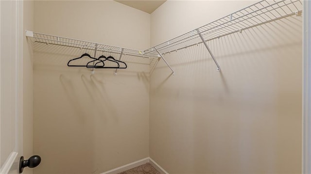 879 Tranquil Way, Hampton, GA 30228 - spacious closet with carpet floors