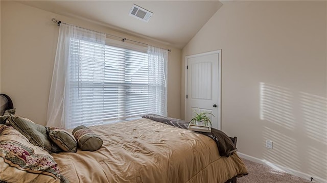 879 Tranquil Way, Hampton, GA 30228 - bedroom with carpet and vaulted ceiling