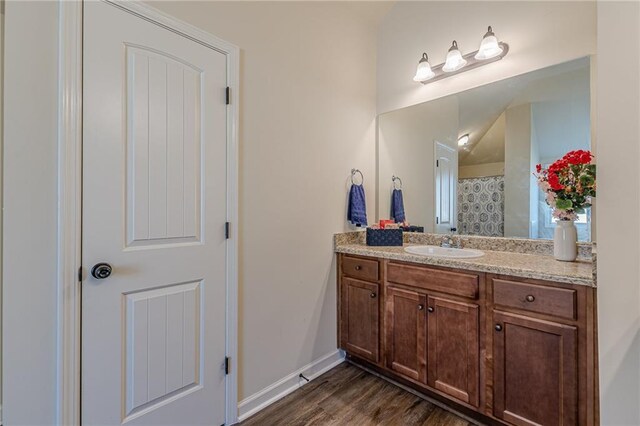 879 Tranquil Way, Hampton, GA 30228 - full bathroom with vanity, wood finished floors, and a shower with shower curtain