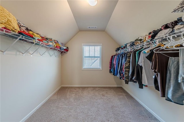 879 Tranquil Way, Hampton, GA 30228 - spacious closet featuring carpet floors and vaulted ceiling