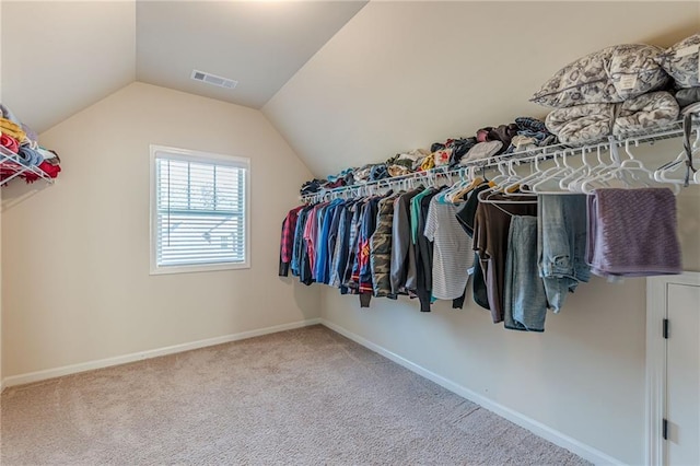 879 Tranquil Way, Hampton, GA 30228 - walk in closet with carpet flooring and vaulted ceiling