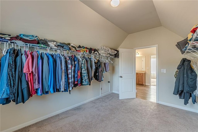 879 Tranquil Way, Hampton, GA 30228 - spacious closet featuring carpet flooring and vaulted ceiling