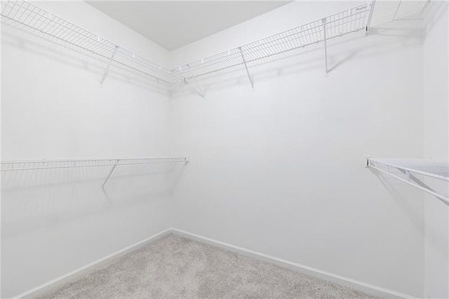 spacious closet with light colored carpet