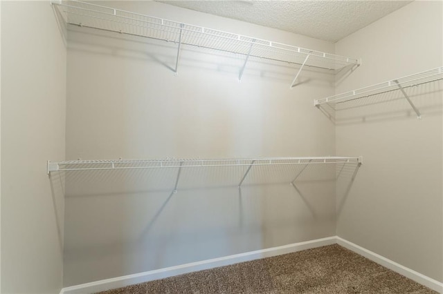 5033 Kens Ct, Stockbridge, GA 30281 - walk in closet with carpet