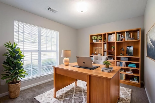 5033 Kens Ct, Stockbridge, GA 30281 - office featuring carpet flooring and healthy amount of natural light