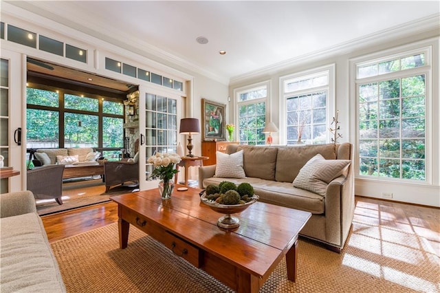 view of sunroom / solarium