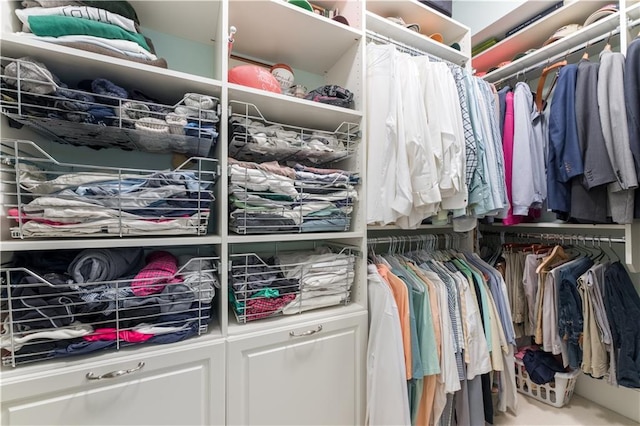 view of walk in closet