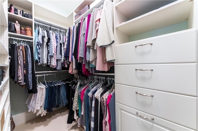 spacious closet with carpet