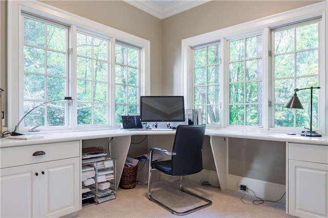 carpeted office with crown molding and a wealth of natural light