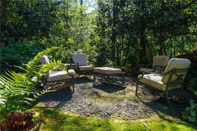 view of yard with a patio