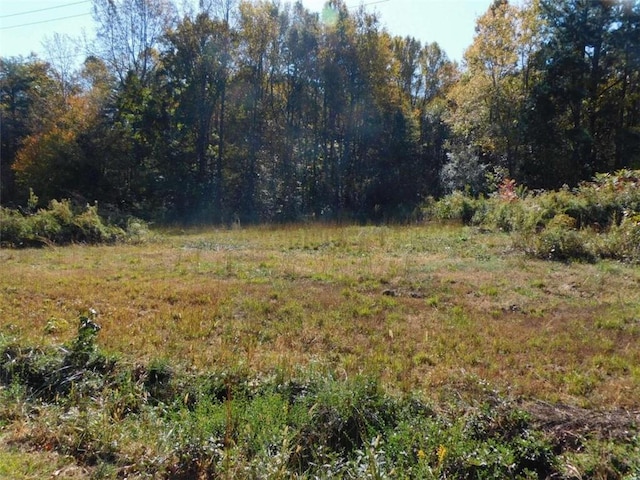 4232 Green Valley Dr, Gainesville, GA 30506