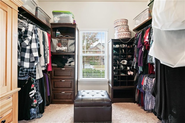 spacious closet with carpet